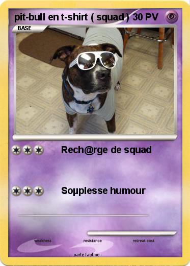 Pokemon pit-bull en t-shirt ( squad )