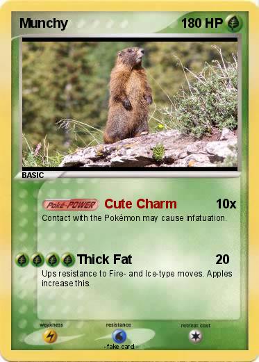 Pokemon Munchy