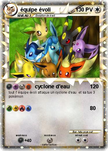 Pokemon équipe évoli
