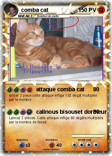 Pokemon comba cat