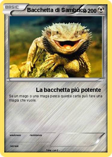 Pokemon Bacchetta di Sambuco