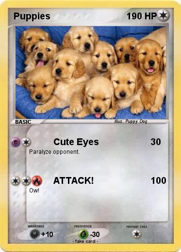 Pokemon Puppies