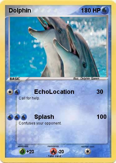 Pokemon Dolphin