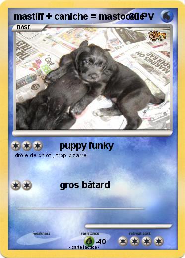 Pokemon mastiff + caniche = mastoodle