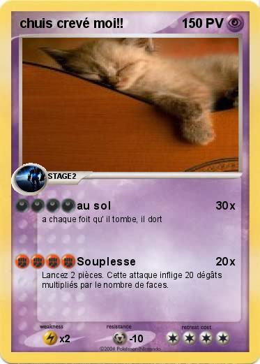 Pokemon chuis crevé moi!!