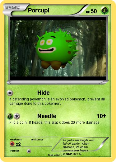 Pokemon Porcupi