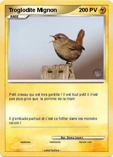 Pokemon Troglodite Mignon