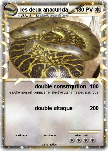 Pokemon les deux anacunda