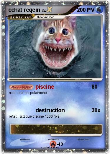 Pokemon cchat reqein