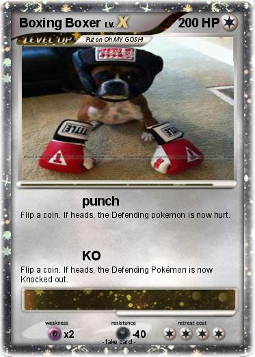 Pokemon Boxing Boxer