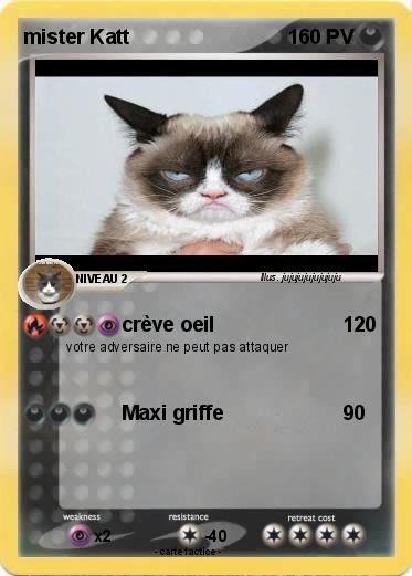 Pokemon mister Katt