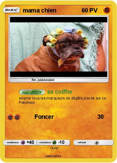 Pokemon mama chien