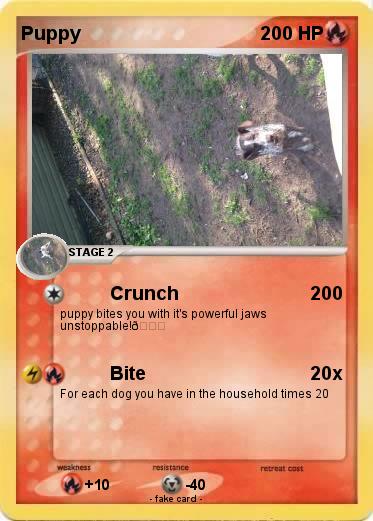 Pokemon Puppy