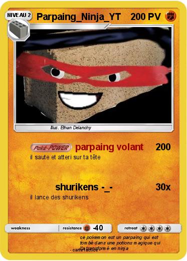 Pokemon Parpaing_Ninja_YT