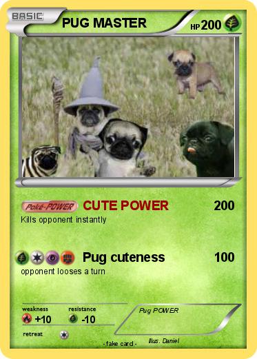 Pokemon PUG MASTER