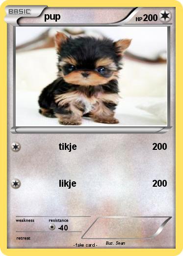 Pokemon pup