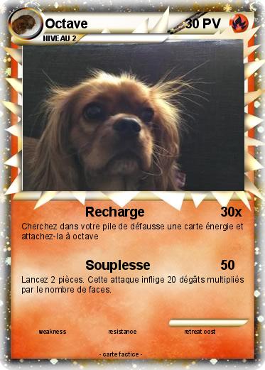 Pokemon Octave