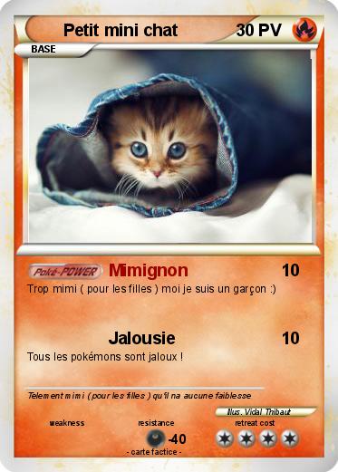 Pokemon Petit mini chat