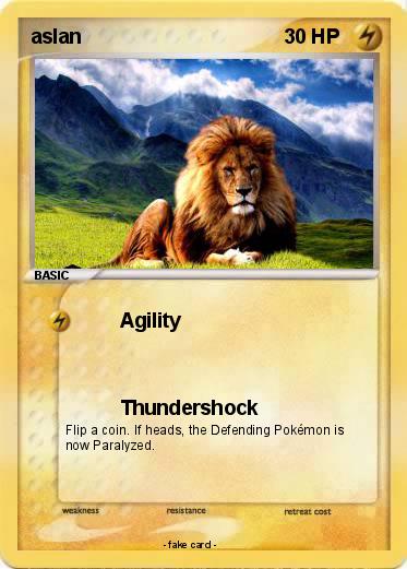 Pokemon aslan