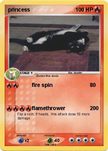 Pokemon princess
