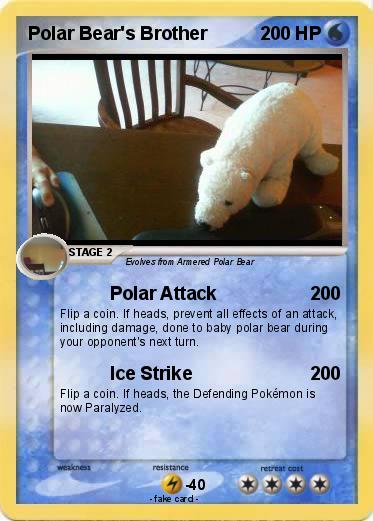 Pokemon Polar Bear's Brother