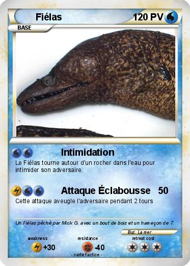Pokemon Fiélas