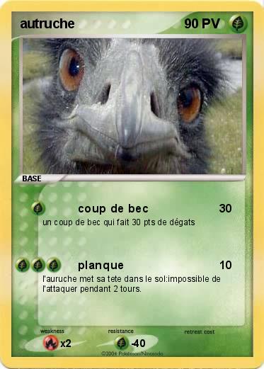 Pokemon autruche