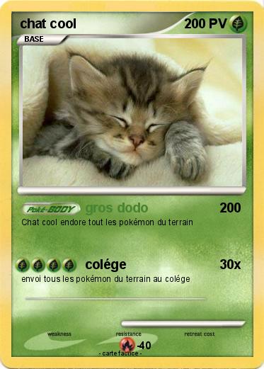 Pokemon chat cool