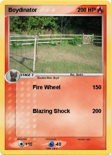 Pokemon Boydinator