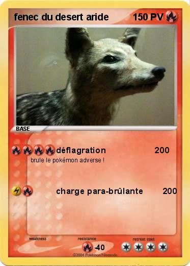 Pokemon fenec du desert aride 