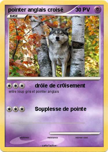 Pokemon pointer anglais croisé