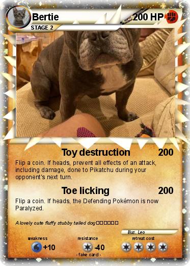 Pokemon Bertie
