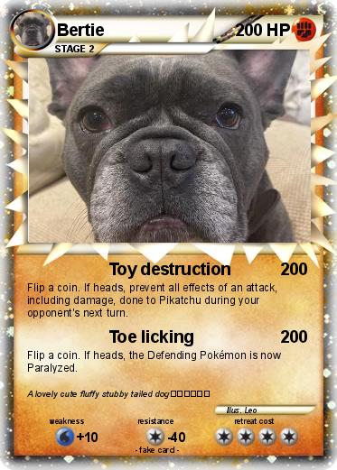 Pokemon Bertie