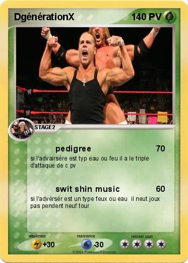 Pokemon DgénérationX