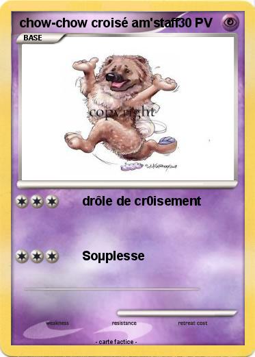 Pokemon chow-chow croisé am'staff