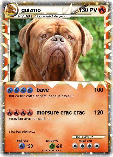 Pokemon guizmo