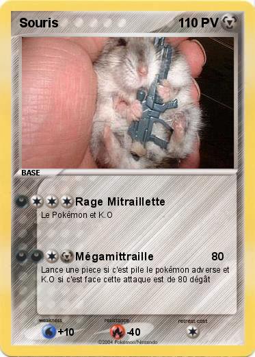 Pokemon Souris