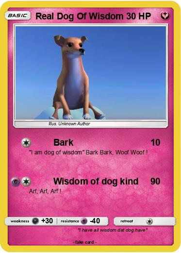 Pokemon Real Dog Of Wisdom