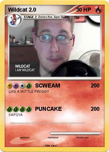 Pokemon Wildcat 2.0