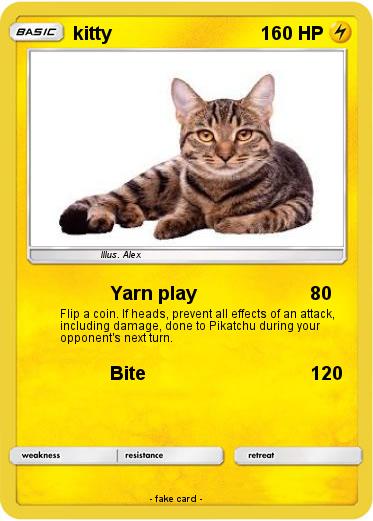 Pokemon kitty