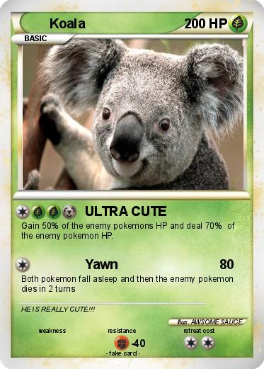 Pokemon Koala