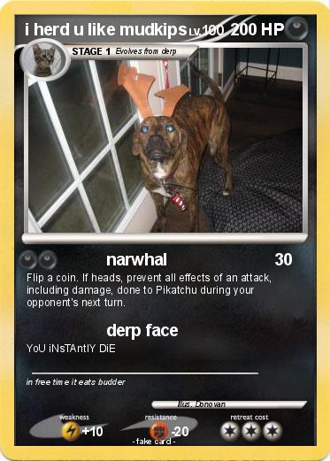 Pokemon i herd u like mudkips