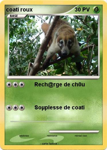Pokemon coati roux