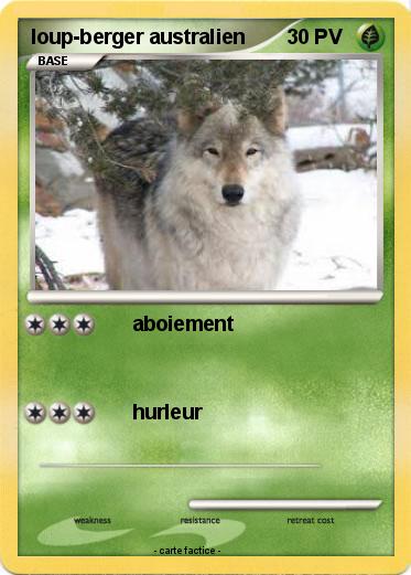 Pokemon loup-berger australien