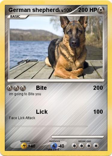 Pokemon German shepherd
