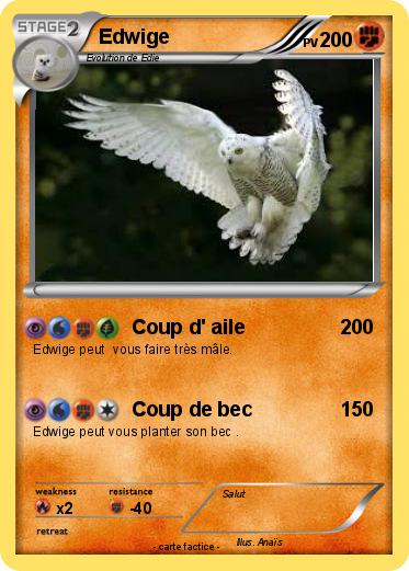 Pokemon Edwige