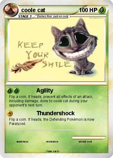Pokemon coole cat