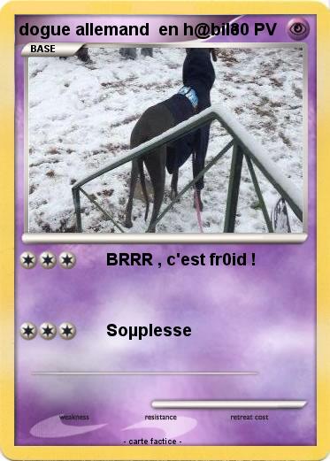 Pokemon dogue allemand  en h@bile