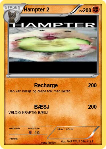 Pokemon Hampter 2