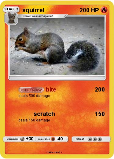 Pokemon squirrel